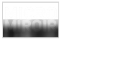 Micro miroir