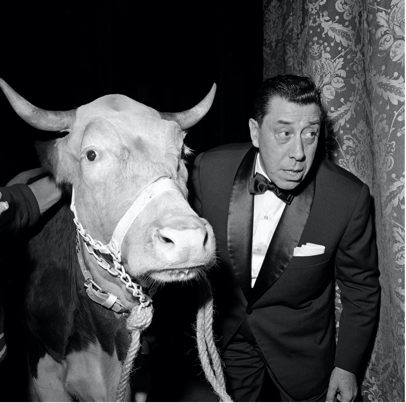 Quest Devenue Marguerite La Vache Et Le Prisonnier L'oeil de Melody : 5 photos pour illustrer la carrière de Fernandel -  Melody TV