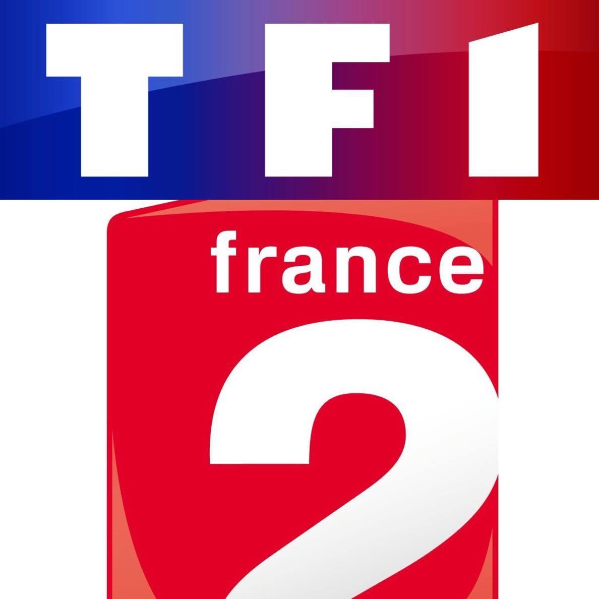 TF1 et France 2 retransmettent l'hommage populaire à Johnny