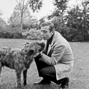 L’œil de Melody : 5 photos pour illustrer la carrière d’Yves Montand