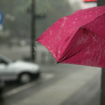 Les Activités à faire à Nice les jours de pluie.