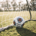 Un joueur de l'OGC Nice dans l'équipe-type de l'Euro.