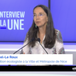Juliette Chesnel-Le Roux