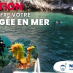 Gagnez votre plongée en mer !