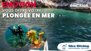 Gagnez votre plongée en mer !