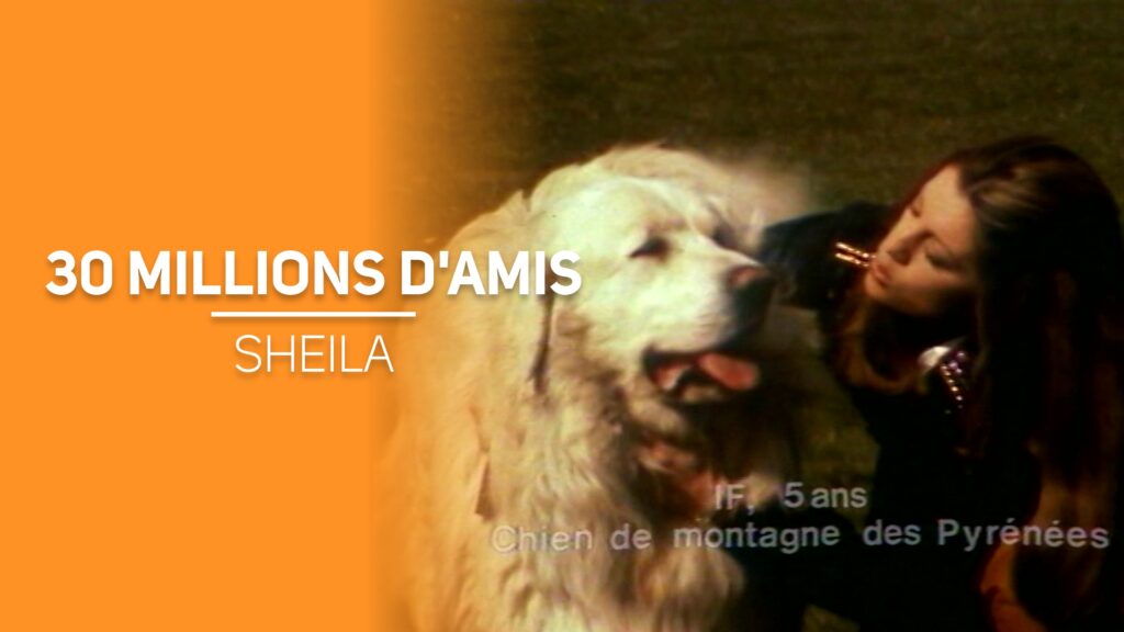 30 Millions D amis Melody TV