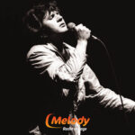 Je ne suis pas un héros - Daniel Balavoine - L'histoire d'une chanson