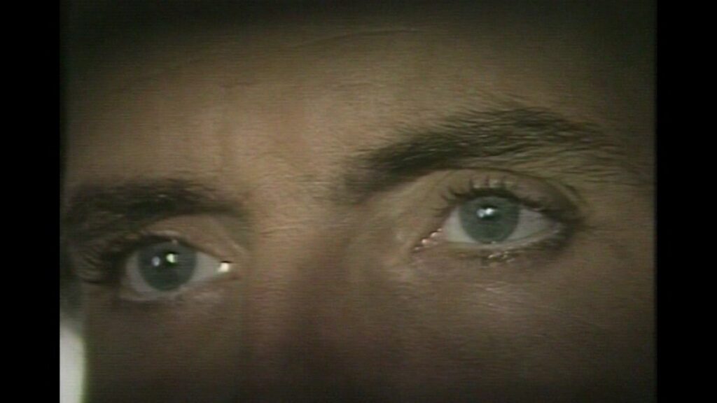 IDEES NOIRES - BERNARD LAVILLIERS ET NICOLETTA (1983)